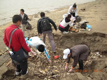Wuhan Cleanup